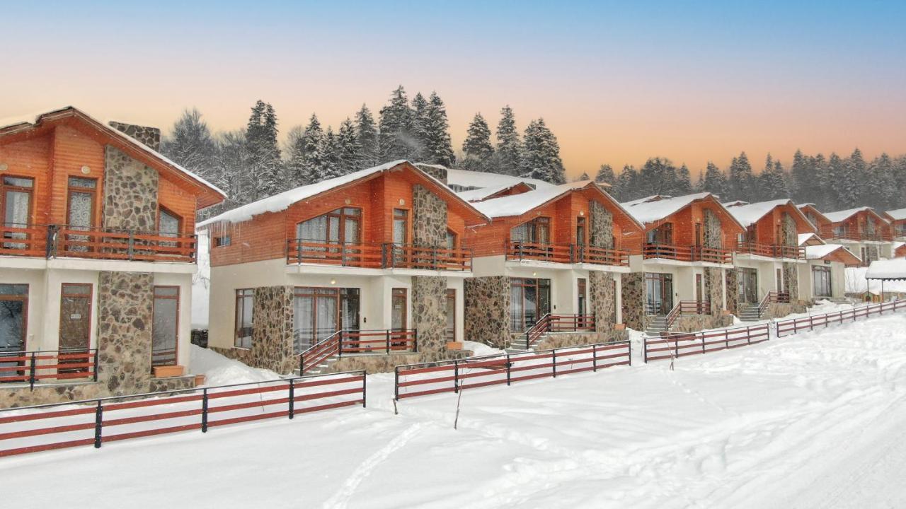 Villa Mtashi Bakuriani Kültér fotó