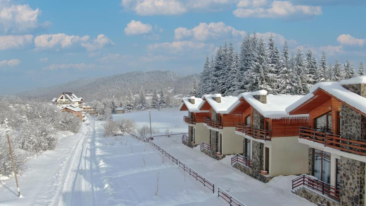 Villa Mtashi Bakuriani Kültér fotó