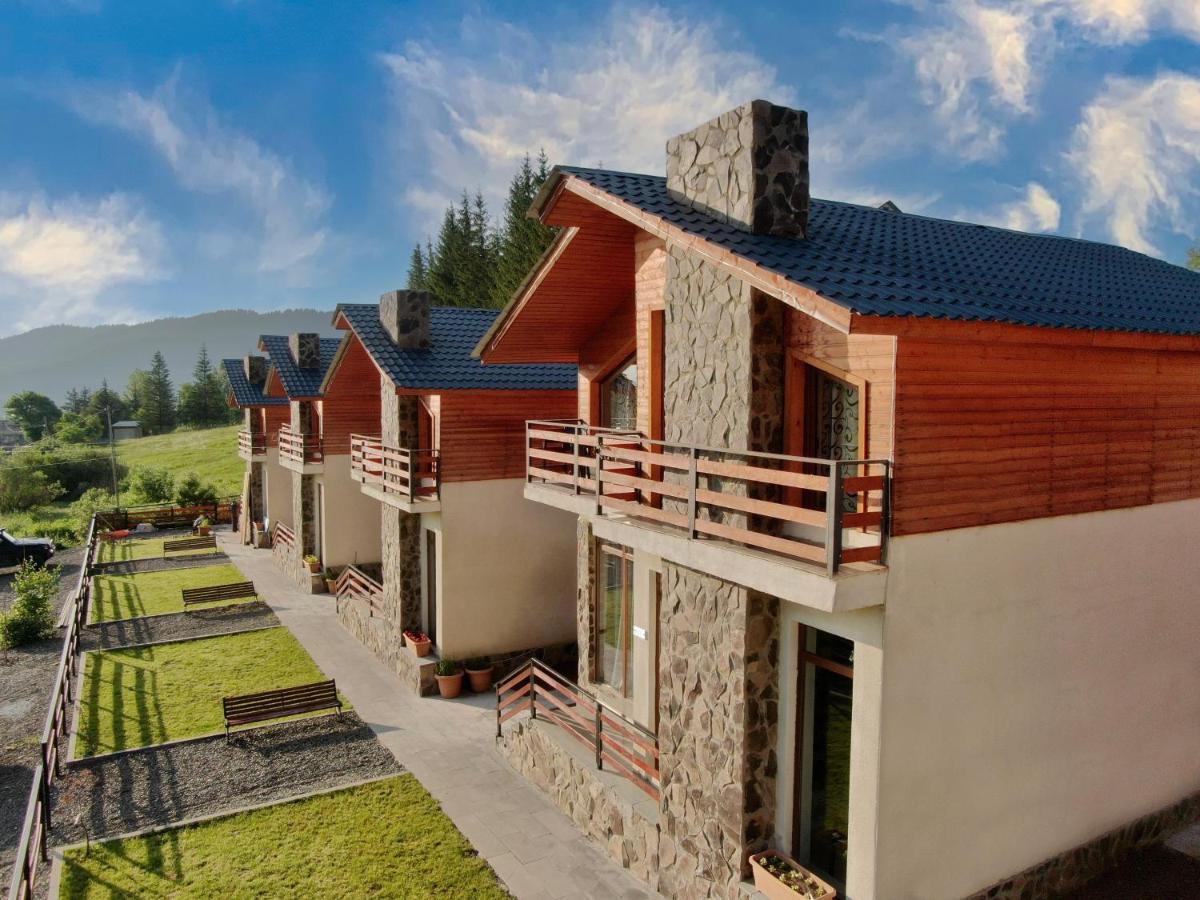 Villa Mtashi Bakuriani Kültér fotó