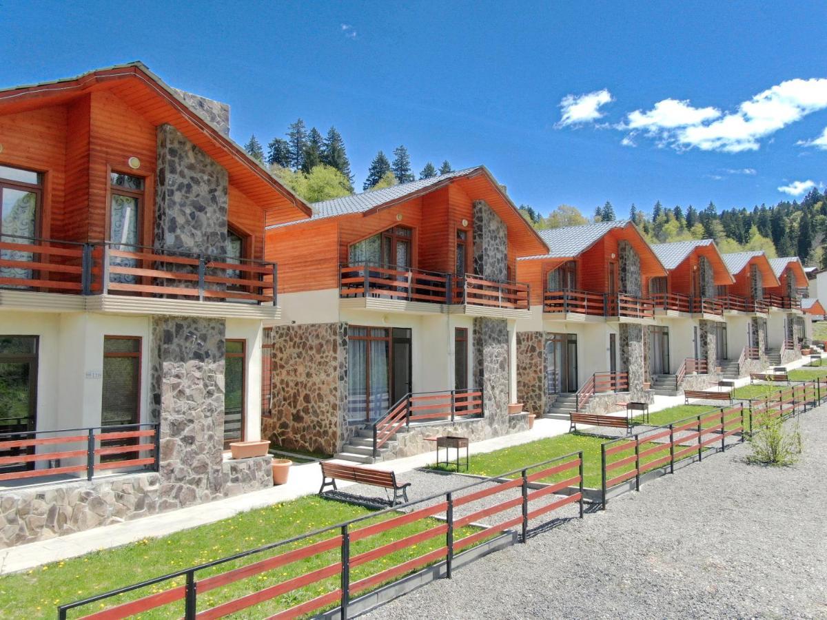 Villa Mtashi Bakuriani Kültér fotó