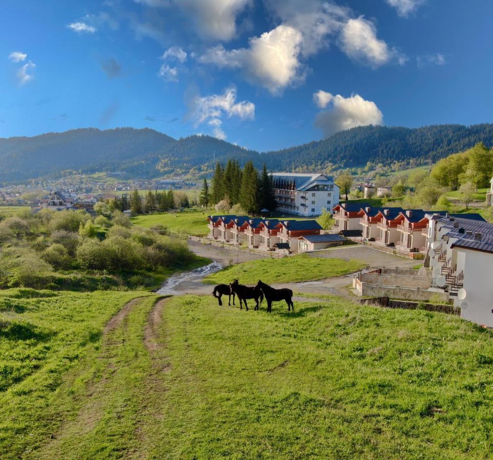 Villa Mtashi Bakuriani Kültér fotó