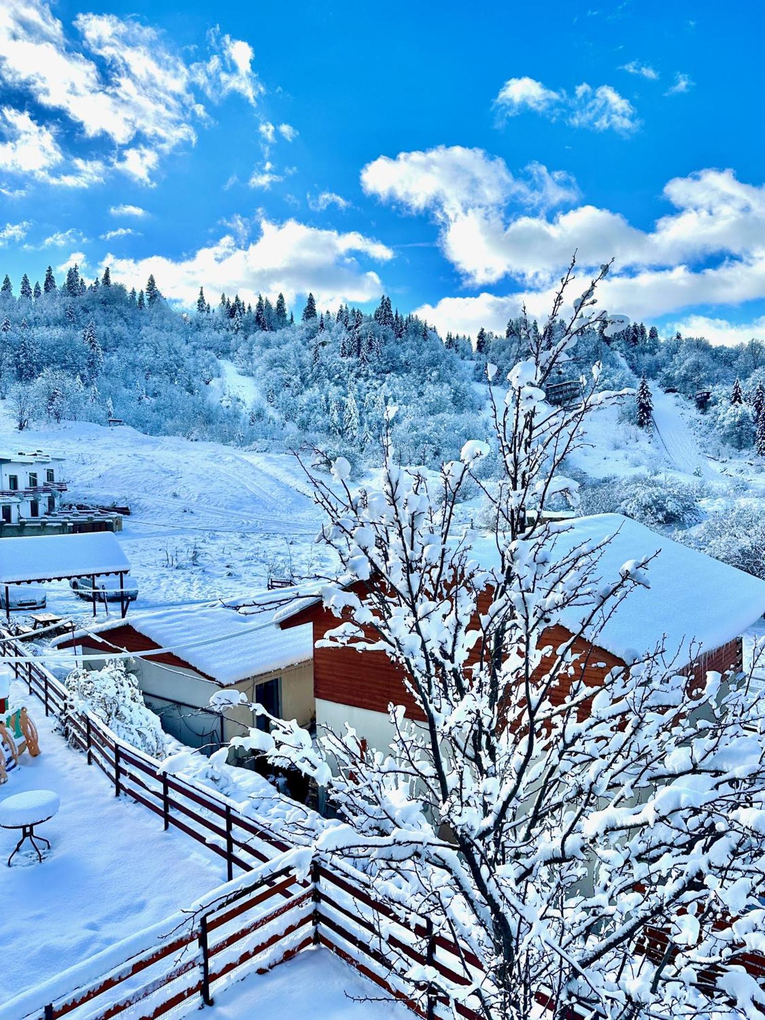 Villa Mtashi Bakuriani Kültér fotó