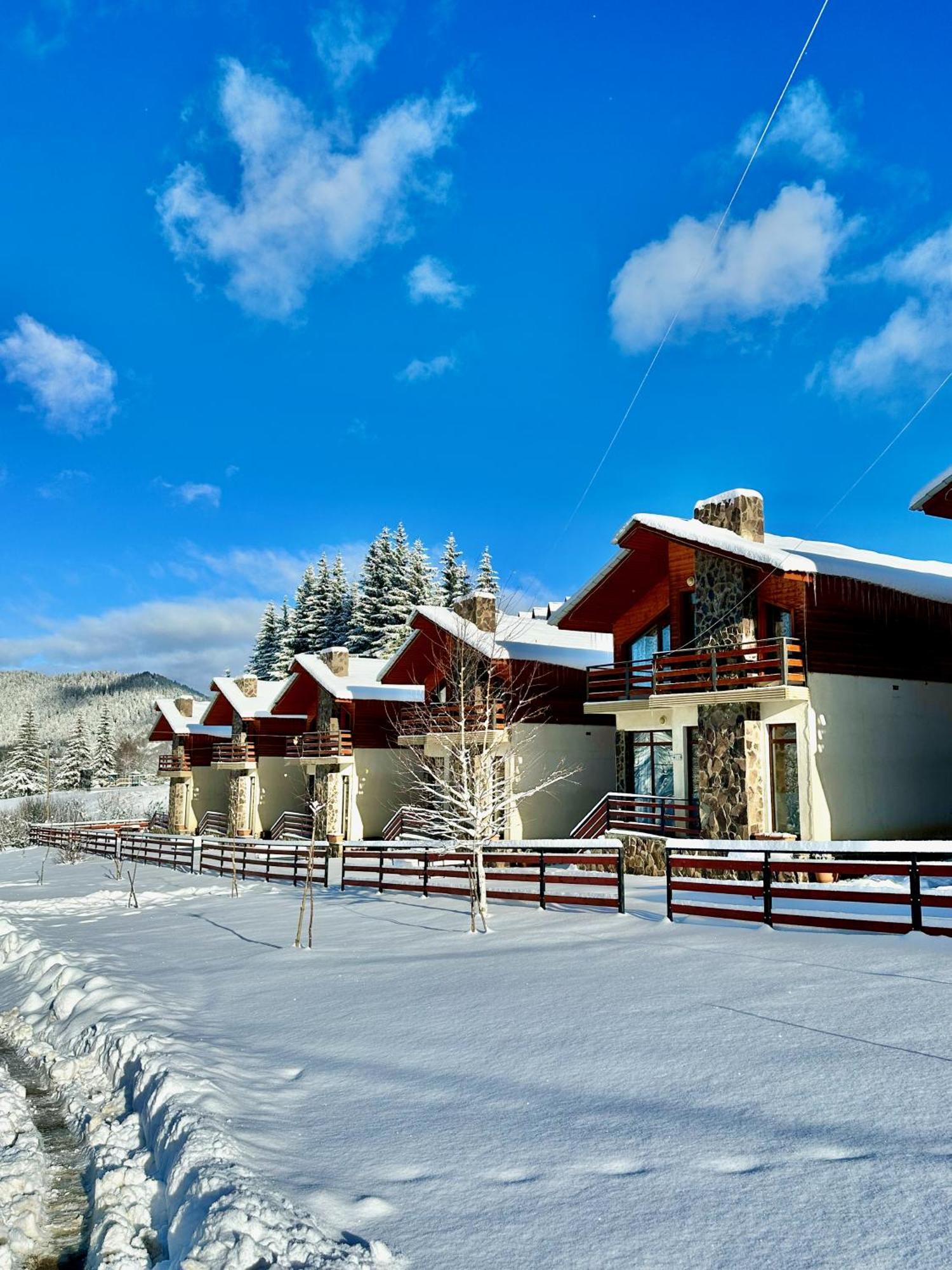 Villa Mtashi Bakuriani Kültér fotó