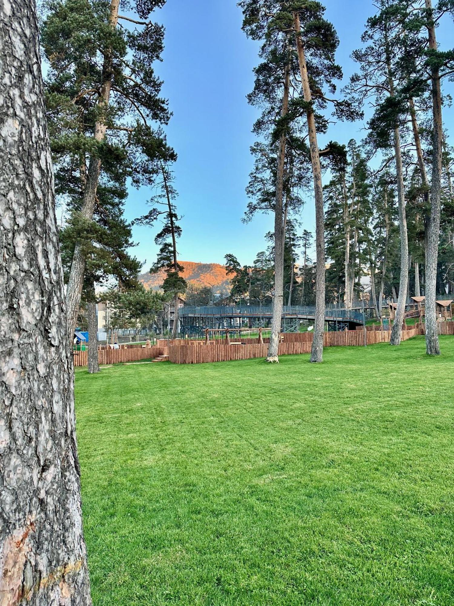 Villa Mtashi Bakuriani Kültér fotó