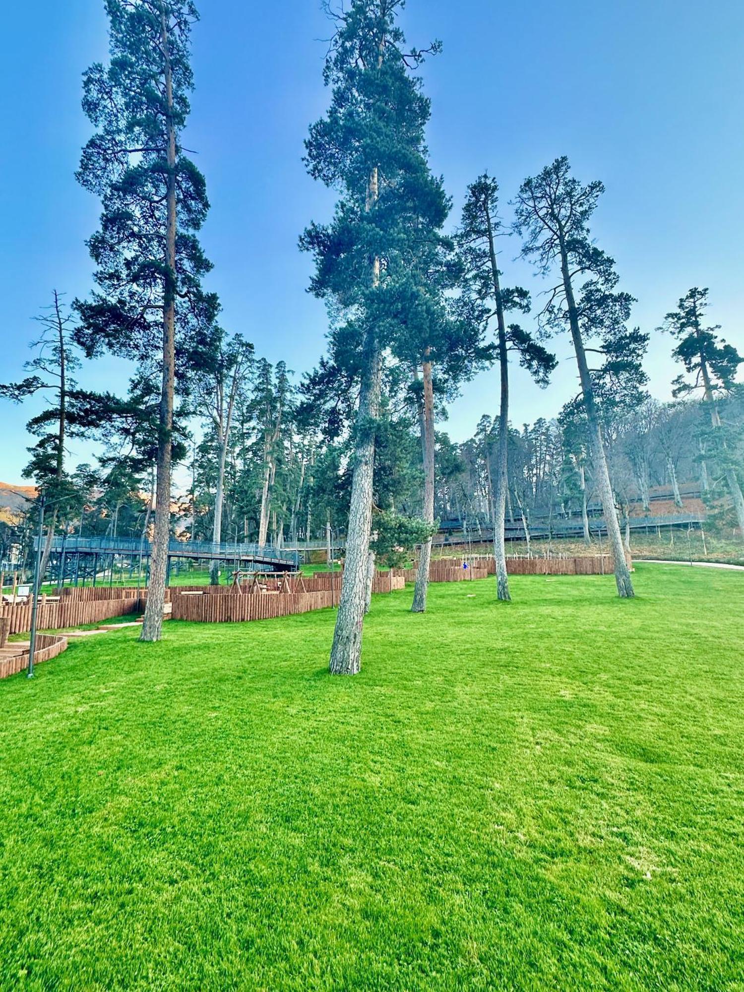Villa Mtashi Bakuriani Kültér fotó