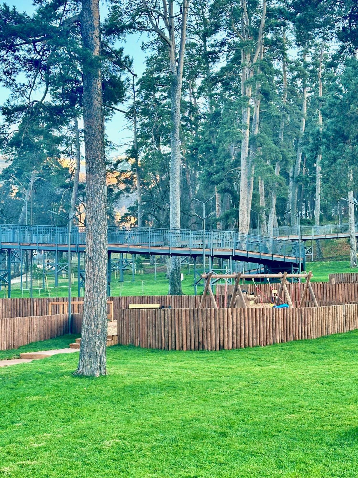 Villa Mtashi Bakuriani Kültér fotó