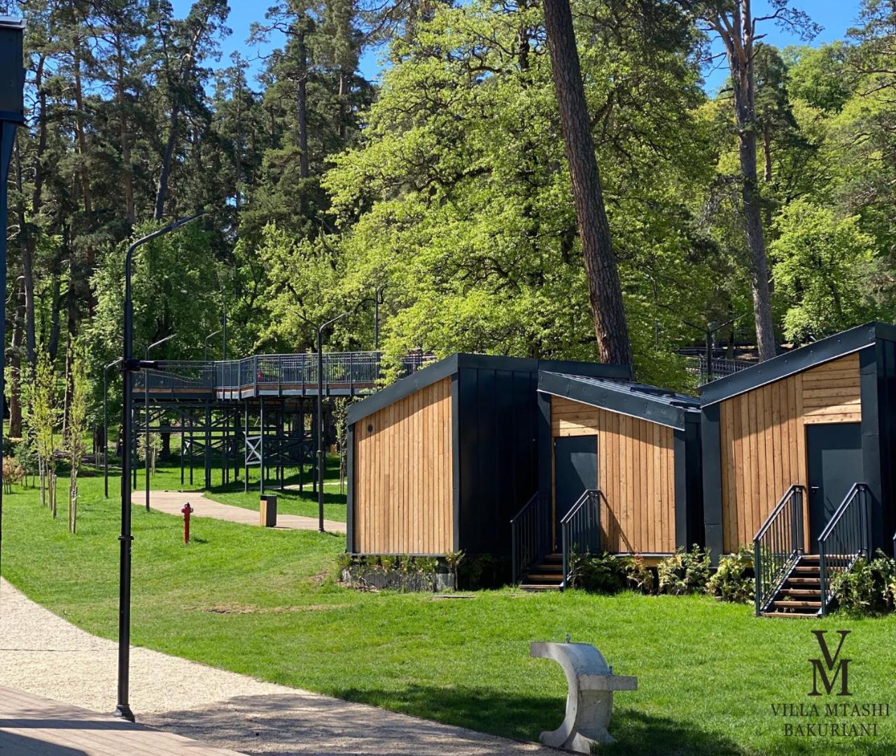 Villa Mtashi Bakuriani Kültér fotó